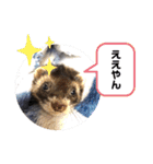毎日ぐんて（個別スタンプ：12）