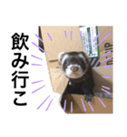 毎日ぐんて（個別スタンプ：13）