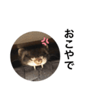 毎日ぐんて（個別スタンプ：32）