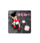 ちせと兄たちのスタンプ1（個別スタンプ：11）