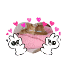 茶トラ兄妹のぶみーのLINEスタンプ（個別スタンプ：4）