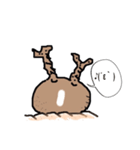 パキポキ グラキリスさん（個別スタンプ：4）
