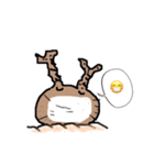 パキポキ グラキリスさん（個別スタンプ：5）