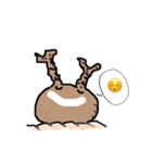 パキポキ グラキリスさん（個別スタンプ：6）