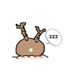 パキポキ グラキリスさん（個別スタンプ：7）