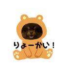 ぽめのうにここ毎日スタンプ①（個別スタンプ：5）