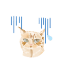 猫のアジャのDailyスタンプ（個別スタンプ：8）