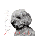ここさんこれくしょん2（個別スタンプ：2）