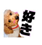 ここさんこれくしょん2（個別スタンプ：3）