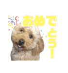ここさんこれくしょん2（個別スタンプ：4）