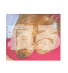 ここさんこれくしょん2（個別スタンプ：9）