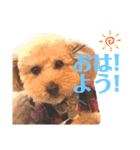 ここさんこれくしょん2（個別スタンプ：12）