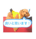 ここさんこれくしょん2（個別スタンプ：16）