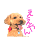 ここさんこれくしょん2（個別スタンプ：18）