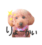 ここさんこれくしょん2（個別スタンプ：24）