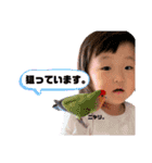 千結きち〜5〜（個別スタンプ：36）