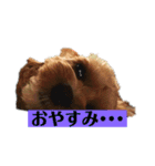 シエルスタンプズ（個別スタンプ：4）