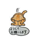 げじねこ（個別スタンプ：5）