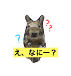 デグーのぐみちゃん（個別スタンプ：2）