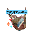 デグーのぐみちゃん（個別スタンプ：3）