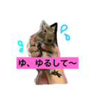 デグーのぐみちゃん（個別スタンプ：4）