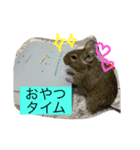 デグーのぐみちゃん（個別スタンプ：6）
