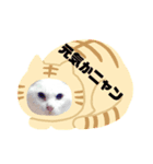 スペシャル作品（個別スタンプ：1）