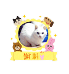 スペシャル作品（個別スタンプ：4）