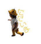 こちょん（個別スタンプ：17）