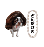 加賀谷グレフス超太郎の日常 2（個別スタンプ：3）
