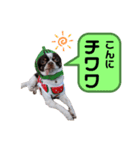 加賀谷グレフス超太郎の日常 2（個別スタンプ：6）