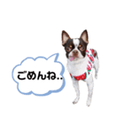 加賀谷グレフス超太郎の日常 2（個別スタンプ：7）