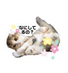 おひめちゃま（個別スタンプ：1）