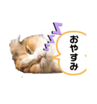 おひめちゃま（個別スタンプ：3）