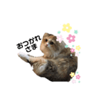 おひめちゃま（個別スタンプ：4）