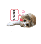 おひめちゃま（個別スタンプ：8）