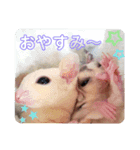 マロ＆ナナvol.1（個別スタンプ：2）