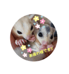 マロ＆ナナvol.1（個別スタンプ：3）