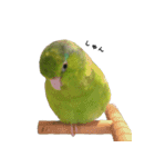 ピスタチオとブルー2（個別スタンプ：2）