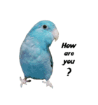 ピスタチオとブルー2（個別スタンプ：10）