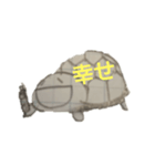 愉快なカメ吉（個別スタンプ：5）