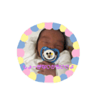 ほんたわかな（個別スタンプ：4）