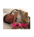 ほんたわかな（個別スタンプ：8）