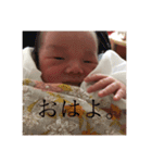 ほんたわかな（個別スタンプ：13）
