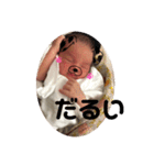 ほんたわかな（個別スタンプ：15）