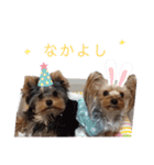 lipine family（個別スタンプ：16）
