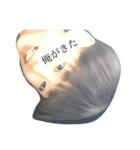鮫兄（個別スタンプ：16）