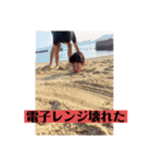 非モテ必見！白飯が美味しく感じるスタンプ（個別スタンプ：29）