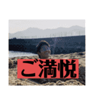 非モテ必見！白飯が美味しく感じるスタンプ（個別スタンプ：33）
