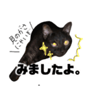 にやーの生活（個別スタンプ：14）